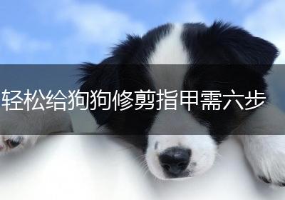 轻松给狗狗修剪指甲需六步