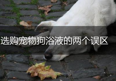 选购宠物狗浴液的两个误区