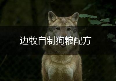 边牧自制狗粮配方