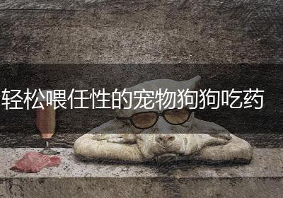 轻松喂任性的宠物狗狗吃药