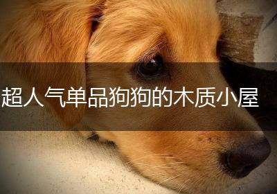 超人气单品狗狗的木质小屋