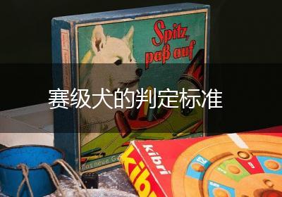 赛级犬的判定标准