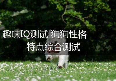 趣味IQ测试 狗狗性格特点综合测试