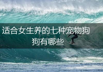 适合女生养的七种宠物狗狗有哪些