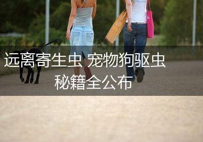 远离寄生虫 宠物狗驱虫秘籍全公布