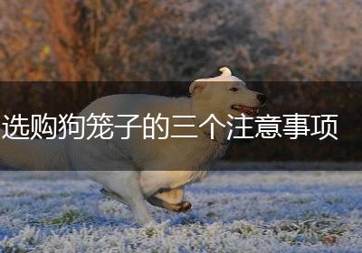 选购狗笼子的三个注意事项