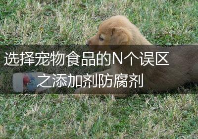 选择宠物食品的N个误区之添加剂防腐剂
