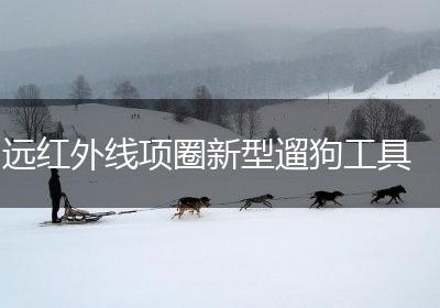 远红外线项圈新型遛狗工具