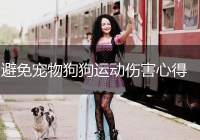 避免宠物狗狗运动伤害心得