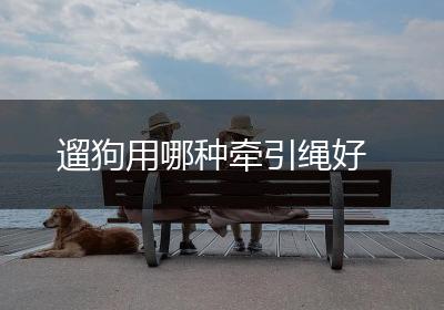 遛狗用哪种牵引绳好