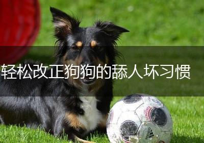 轻松改正狗狗的舔人坏习惯