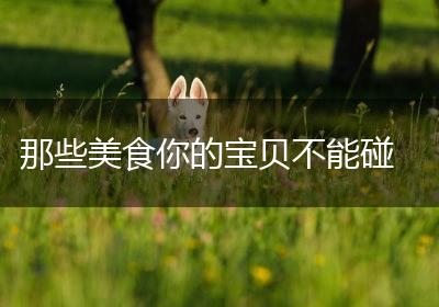 那些美食你的宝贝不能碰