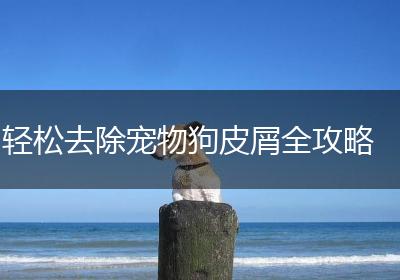 轻松去除宠物狗皮屑全攻略