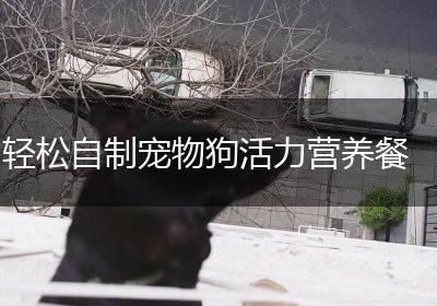轻松自制宠物狗活力营养餐