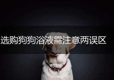 选购狗狗浴液需注意两误区