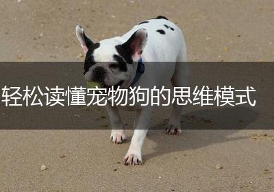 轻松读懂宠物狗的思维模式