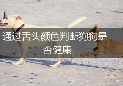 通过舌头颜色判断狗狗是否健康