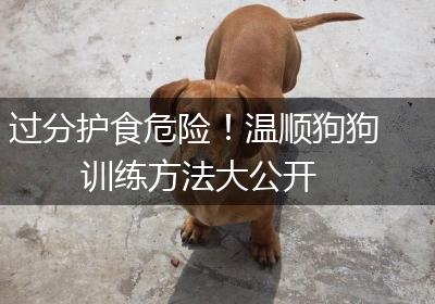 过分护食危险！温顺狗狗训练方法大公开