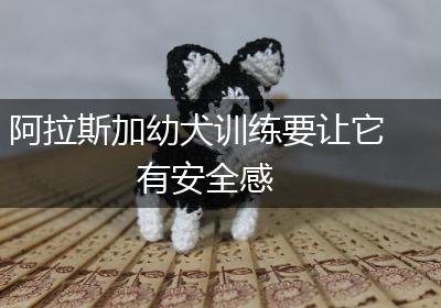 阿拉斯加幼犬训练要让它有安全感