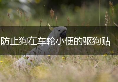 防止狗在车轮小便的驱狗贴