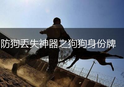 防狗丢失神器之狗狗身份牌