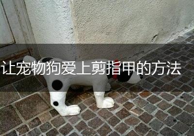 让宠物狗爱上剪指甲的方法