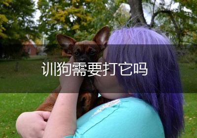 训狗需要打它吗