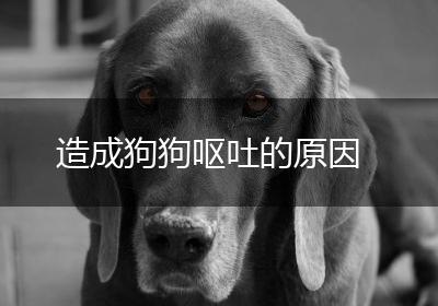 造成狗狗呕吐的原因