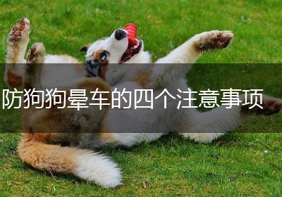 防狗狗晕车的四个注意事项