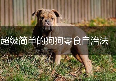 超级简单的狗狗零食自治法