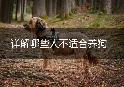 详解哪些人不适合养狗
