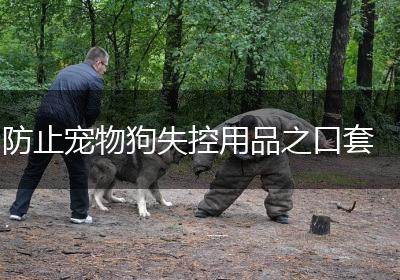 防止宠物狗失控用品之口套