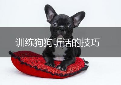 训练狗狗听话的技巧