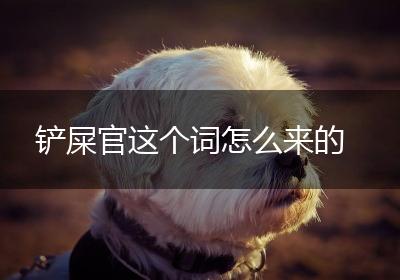 铲屎官这个词怎么来的