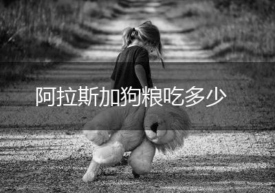 阿拉斯加狗粮吃多少