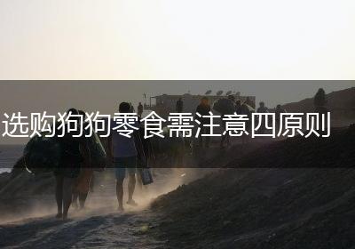 选购狗狗零食需注意四原则