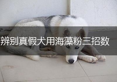辨别真假犬用海藻粉三招数