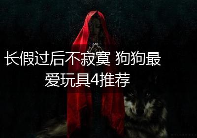 长假过后不寂寞 狗狗最爱玩具4推荐