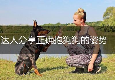 达人分享正确抱狗狗的姿势