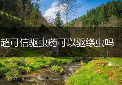 超可信驱虫药可以驱绦虫吗