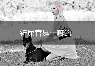 铲屎官是干嘛的