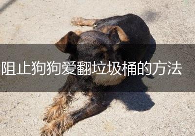 阻止狗狗爱翻垃圾桶的方法