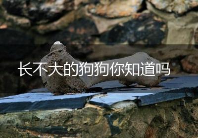 长不大的狗狗你知道吗