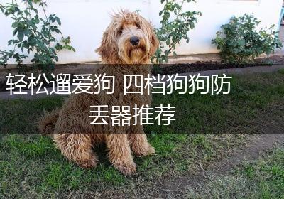 轻松遛爱狗 四档狗狗防丢器推荐