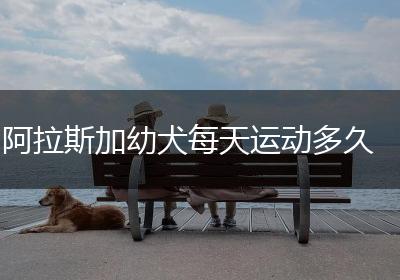 阿拉斯加幼犬每天运动多久