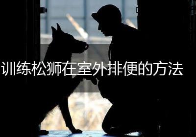 训练松狮在室外排便的方法