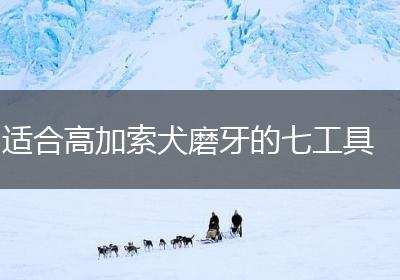 适合高加索犬磨牙的七工具