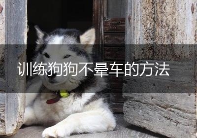 训练狗狗不晕车的方法