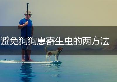 避免狗狗患寄生虫的两方法