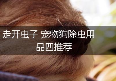 走开虫子 宠物狗除虫用品四推荐
